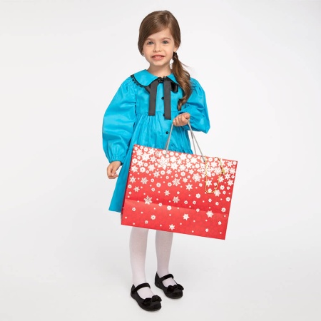 «Новогодний набор №25» НТ-25